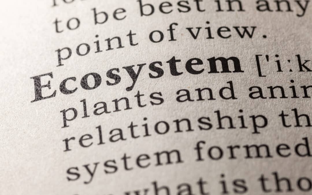Ecosystem Definition