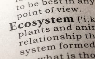 Ecosystems: From Swamps & Supply Chains to Business Strategy