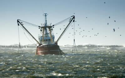 When Tariff Wars End, Fishing Nets Will Beat Fishing Poles