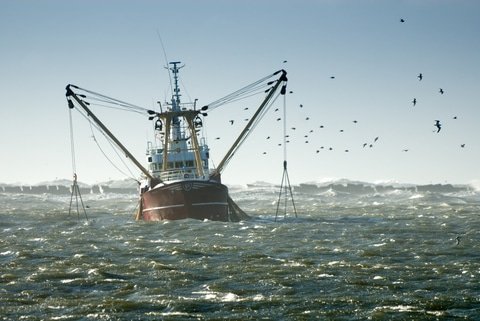 Fishing boat