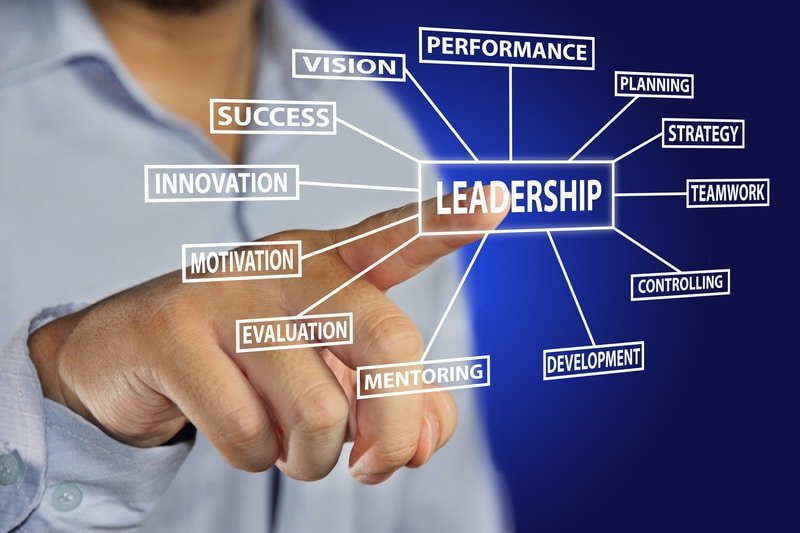 Organizational Development- Leadership Pipeline